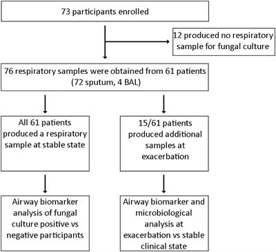 Comparative Analysis of Clinical Parameters and Sputum Biomarkers in Establishing the Relevance of Filamentous Fungi in Cystic Fibrosis